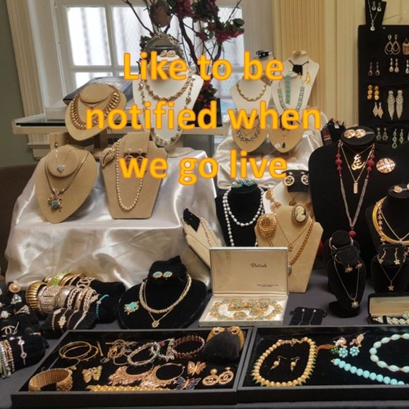 🐢 Luckytheturtle Live show listing ❤️Like to be notified❤️ - Picture 14 of 15